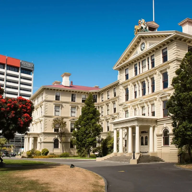 480663013_1257238612782417_4872690505265381820_n