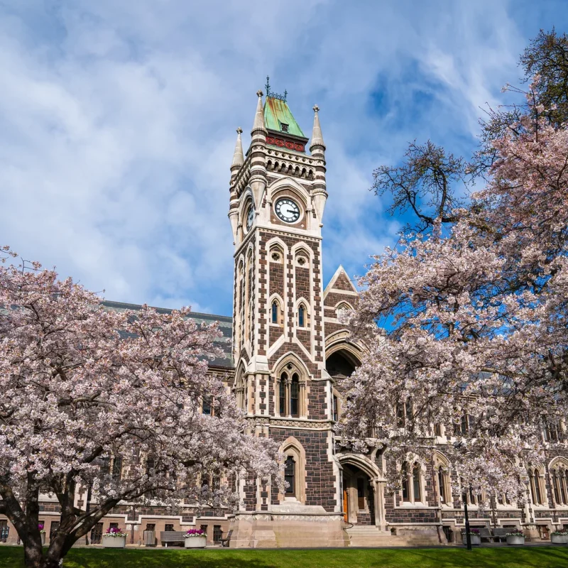 489879262_10004905636187380_1256780988890016263_n